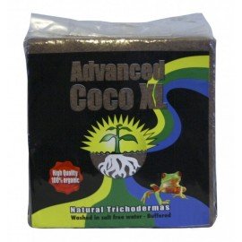 Advanced Coco XL