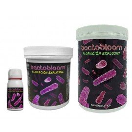 Bactobloom Floracion
