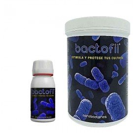 Bactofil crecimiento y floración