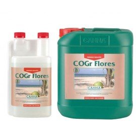 C.COGR FLORES B