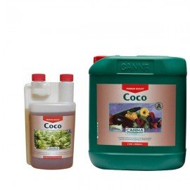 CANNA COCO A 