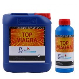 Top Viagra