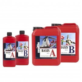 BASIS A+B