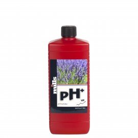 PH+ 1L