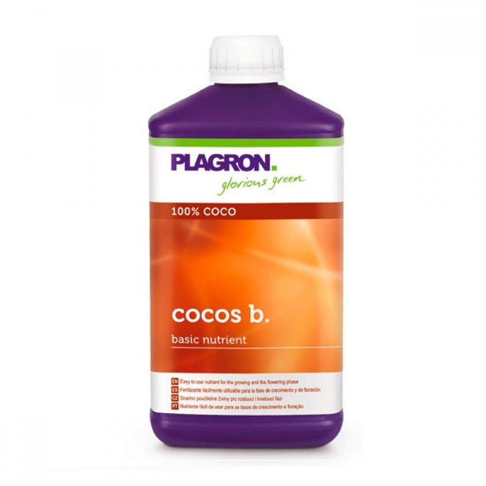 COCO B