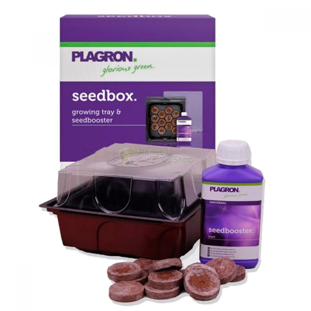 SEEDBOX PLAGRON