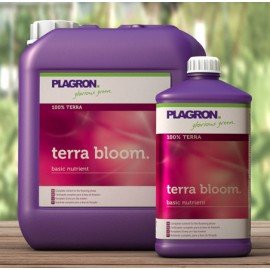 TERRA BLOOM