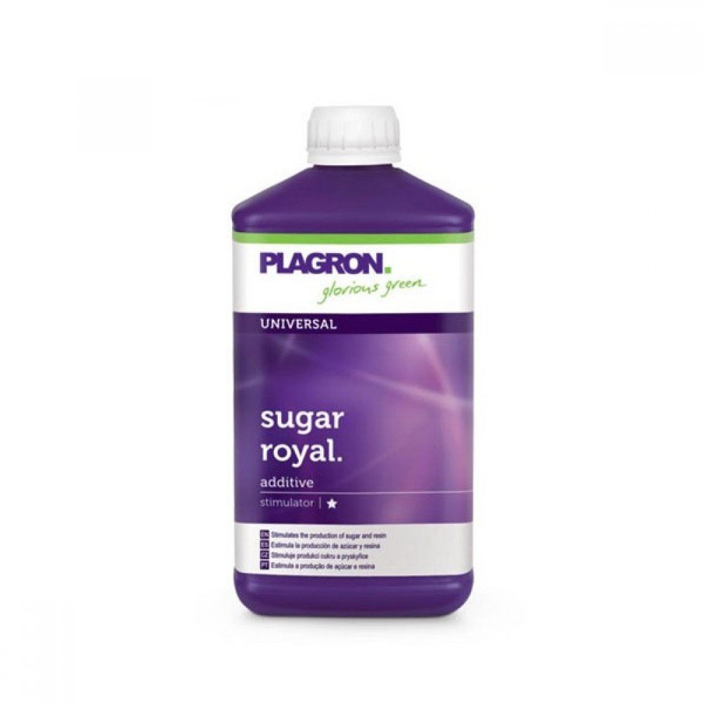 SUGAR ROYAL 