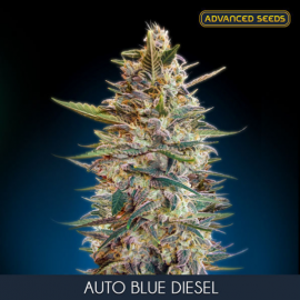 Auto Blue Diesel