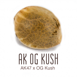 Ak Og Kush